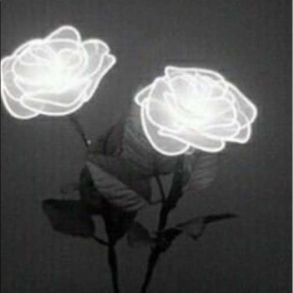 Meet your Posher, Sasha - Picture 6 of 8